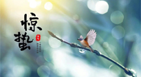 【二十四節(jié)氣灸】驚蟄節(jié)氣，艾灸喚醒抵抗力、補充陽氣的最好時機！